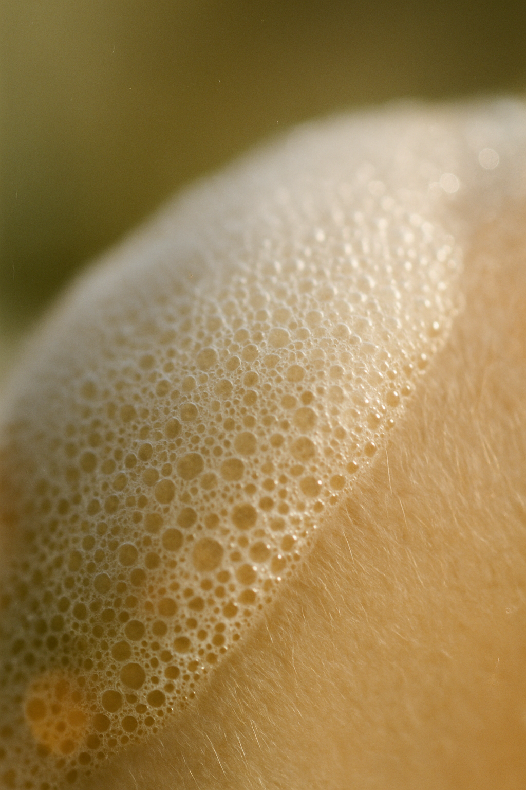 Colour Shampoo (400 ml)