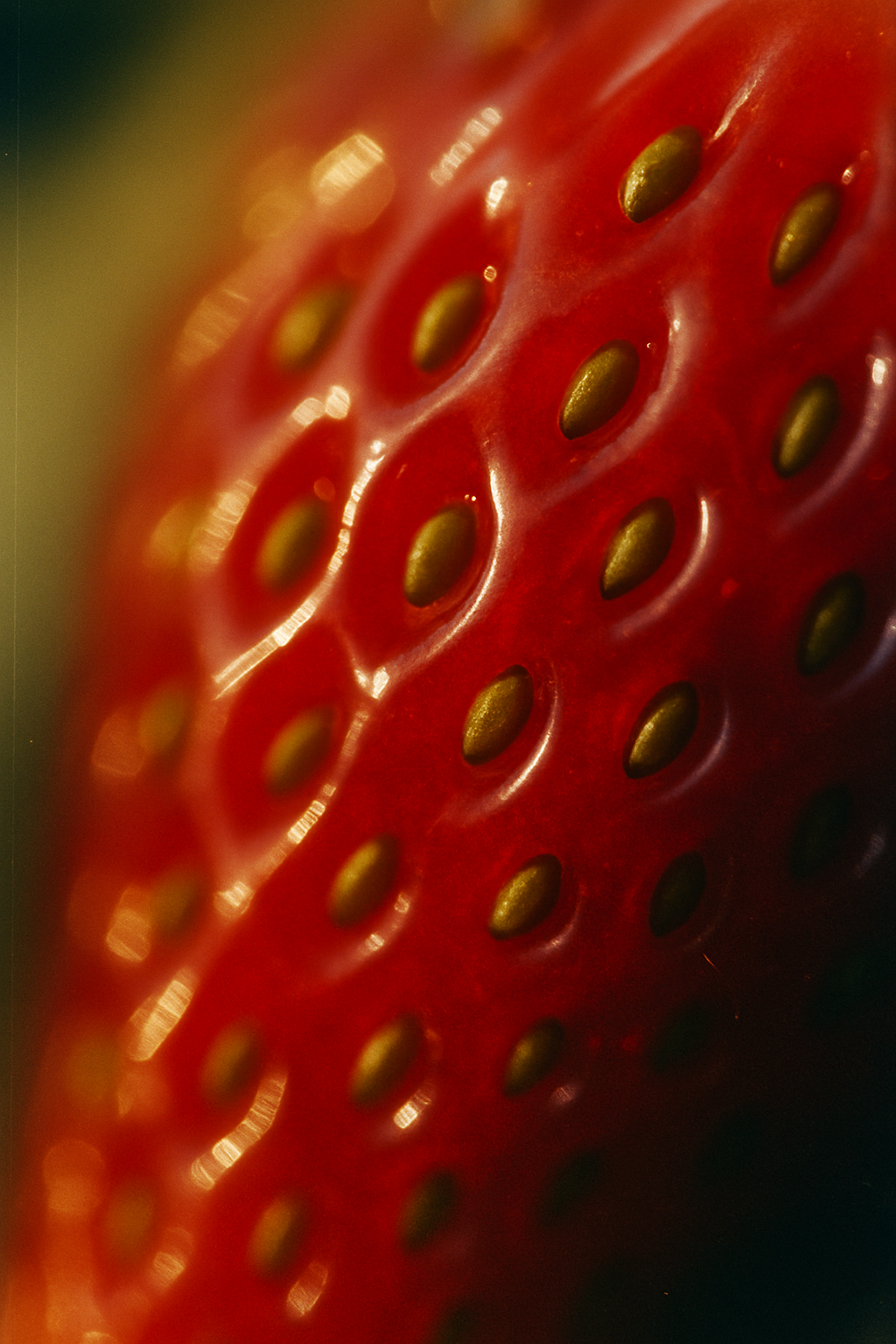 Botox-Like Peptide Serum (30 ml)